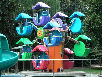 Beston double side small ferris wheel for sale